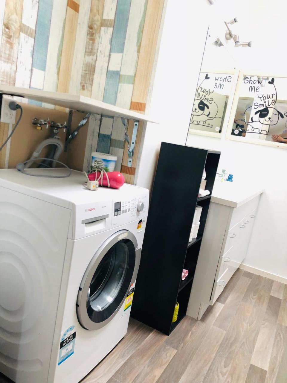 ダニーデン Wow @ Saint Clair Bed & Breakfast エクステリア 写真